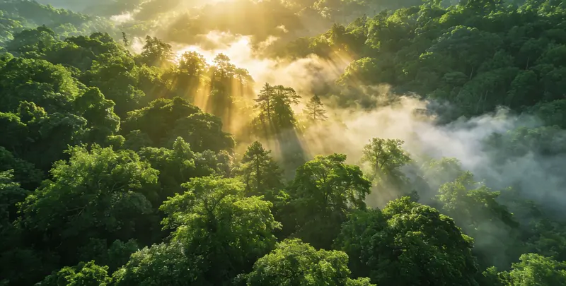 南宁肺癌（EGFR T790M)突变检测图片1