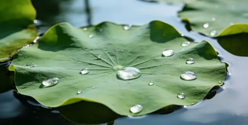 南宁乳腺癌21基因mRNA表达分析图片1