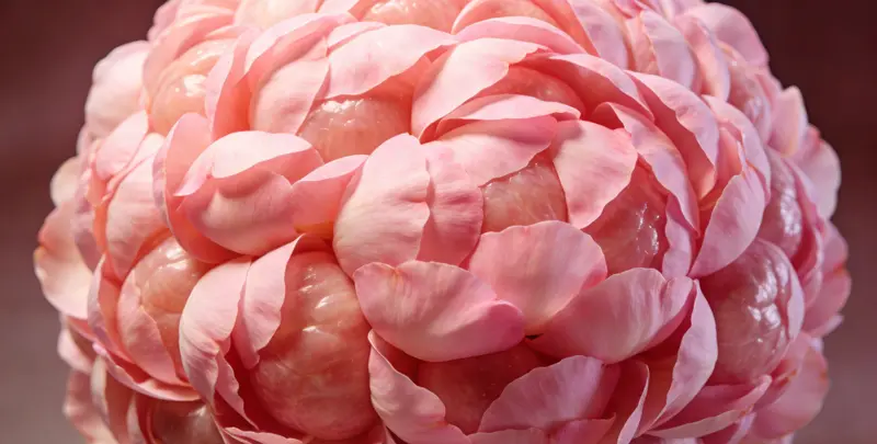 南宁BRCA1/2乳腺癌卵巢癌基因检测图片1